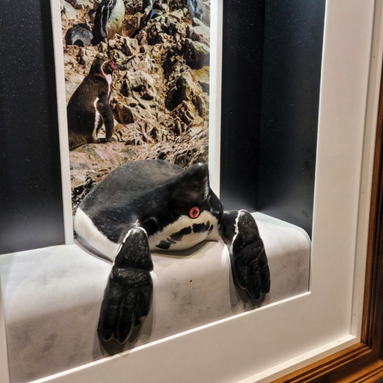ペンギンのお尻の写真