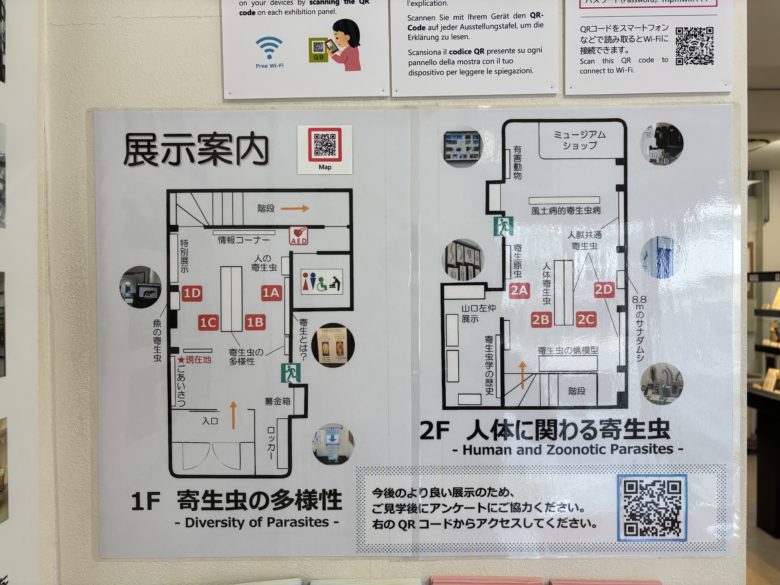 目黒寄生虫館内MAP