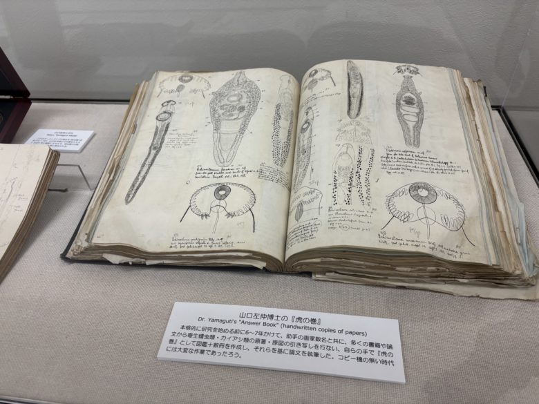 山口左仲博士の虎の巻