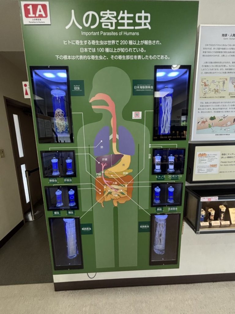 ヒトの寄生虫と書かれたパネル展示