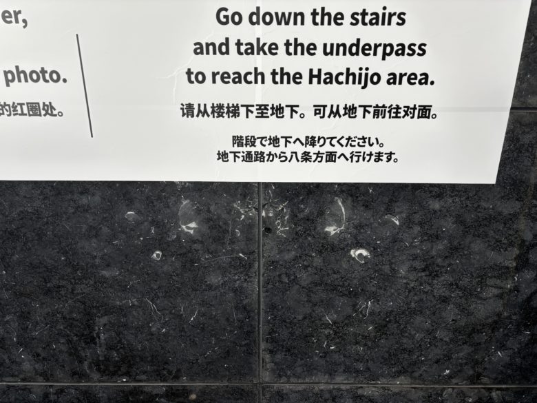 京都駅前の厚歯二枚貝の様子。パネルしたから少し見えている
