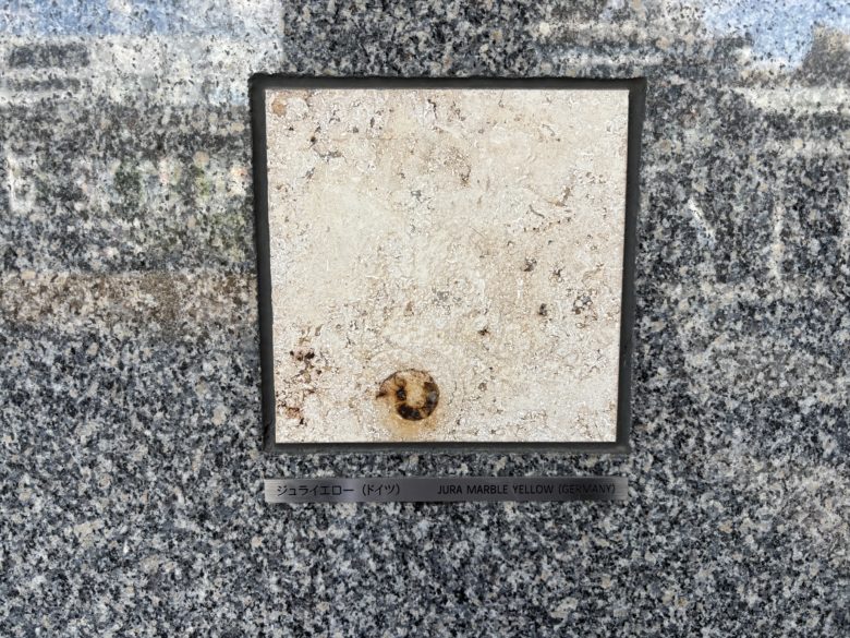 石の博物館と名付けられた柱で見られるジュライエローのアンモナイト
