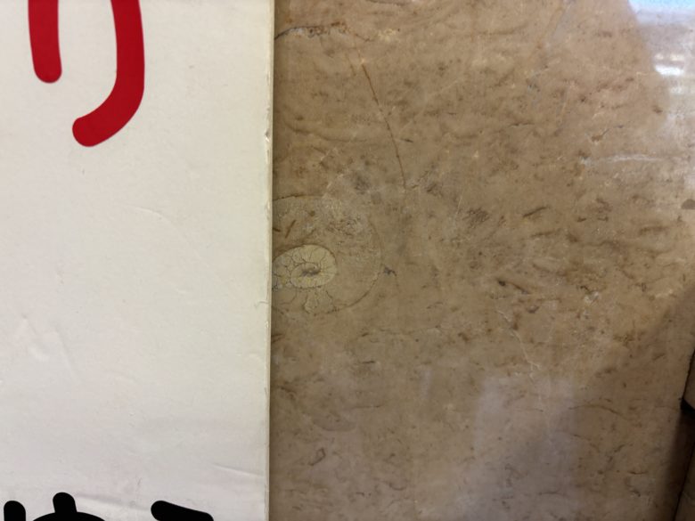 京都中央郵便局にあるアンモナイトの化石