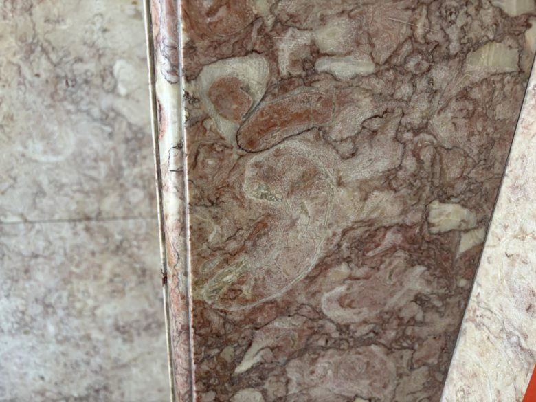 京都駅近くの化石の写真