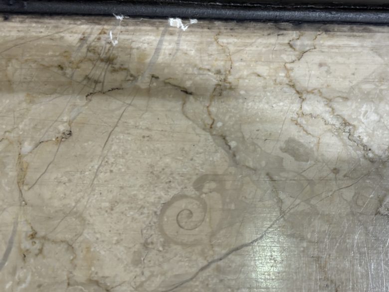 京都駅ビルで見られるアンモナイトの化石