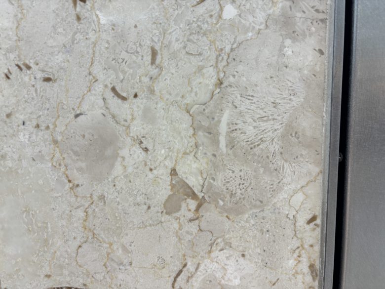 京都駅の化石の様子。