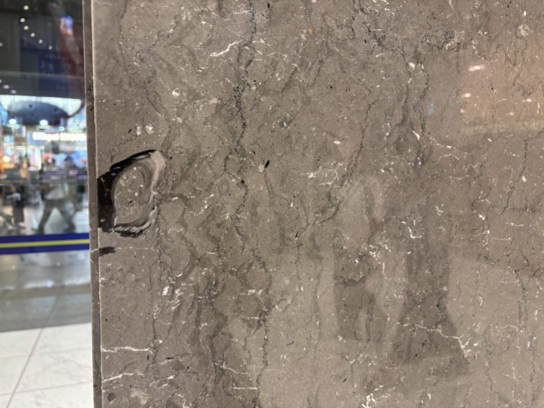 京都伊勢丹の牡蠣の化石