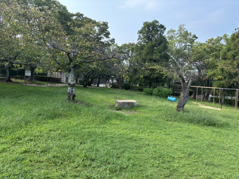 こども動物園の広場の様子。京都府のお花見おすすめスポット