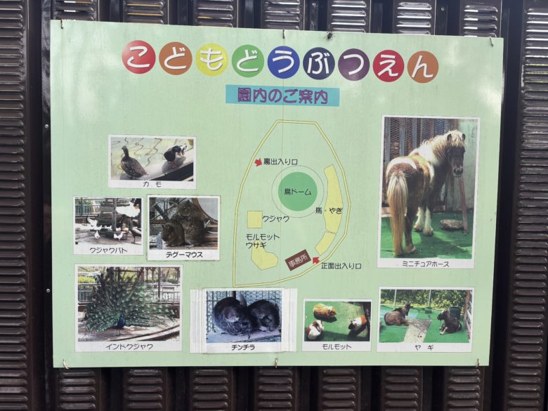 八幡市こども動物園にいる動物の種類一覧の写真