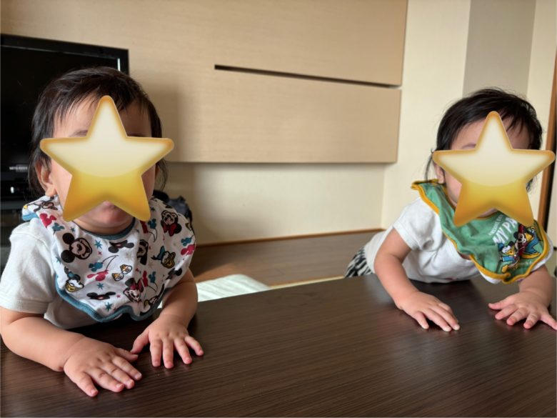 シーサイドホテル舞子ビラ神戸の赤ちゃん連れ旅行の様子