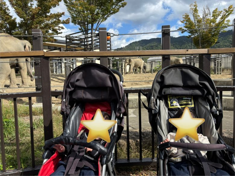 京都市動物園へ赤ちゃん連れで行った様子